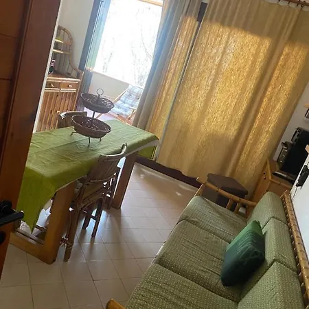 House Pinus Village * Fort Village