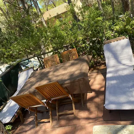 Prázdninový dům House Pinus Village