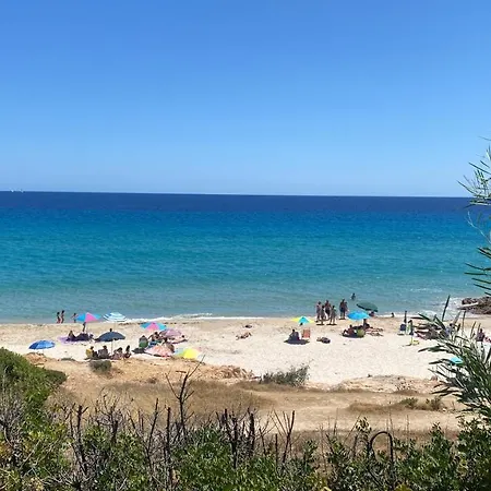 House Pinus Village * Fort Village