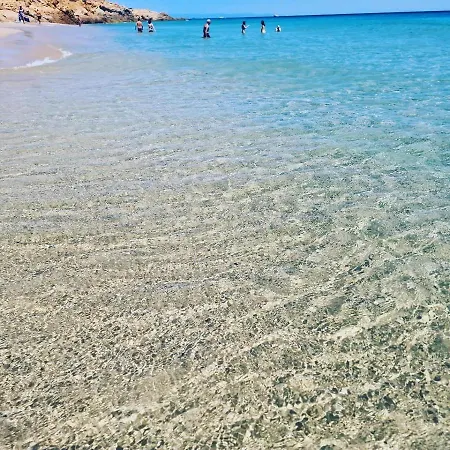 House Pinus Village * Fort Village