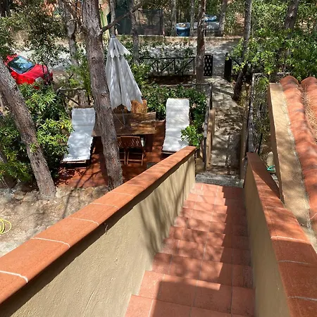 펜션 House Pinus Village