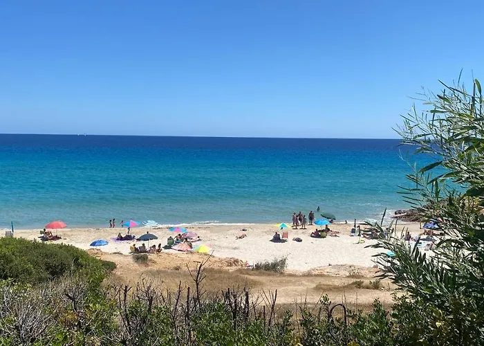 House Pinus Village * Fort Village