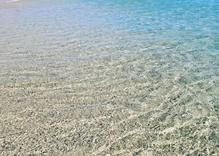 House Pinus Village * Fort Village