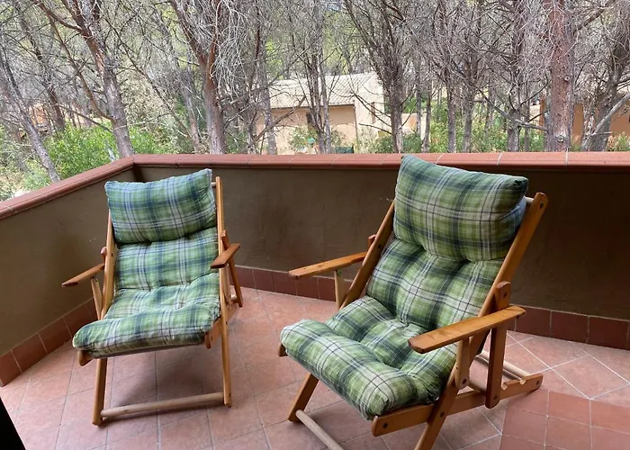 House Pinus Village * Fort Village